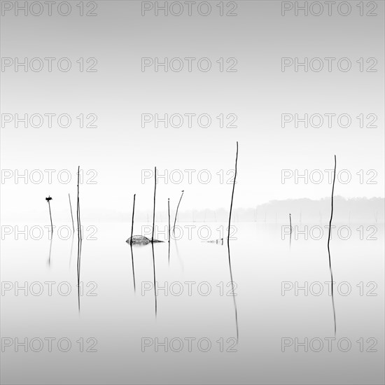 Minimalist piles of flooded fishing nets and fish traps on Lake Trasimeno