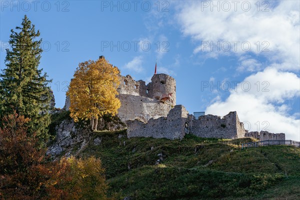 Ehrenberg Castle Ruin