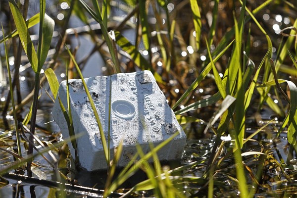 Styrofoam packaging for dew worms