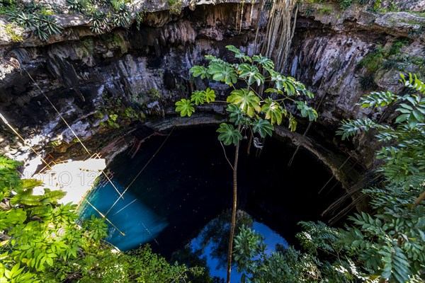 Cenote Oxman