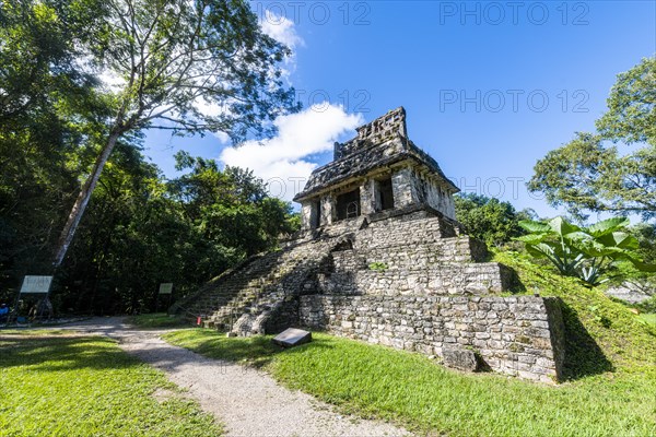 Unesco world heritage site the Maya ruins of Palenque