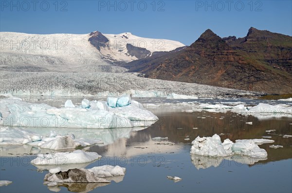 Icebergs and glaciers reflected in a lake