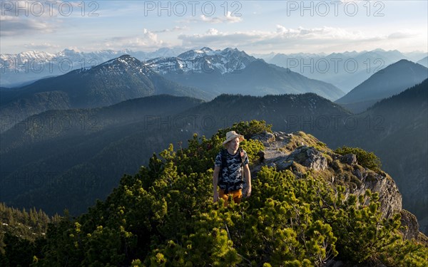 Hiker on hiking trail with mountain pines