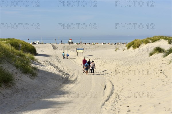 Foredunes at the beach section Nebel