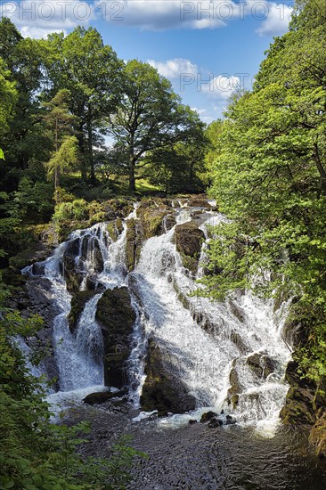 Swallow Falls