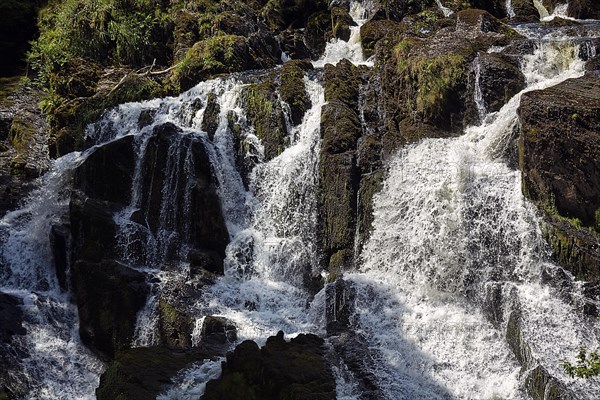 Swallow Falls