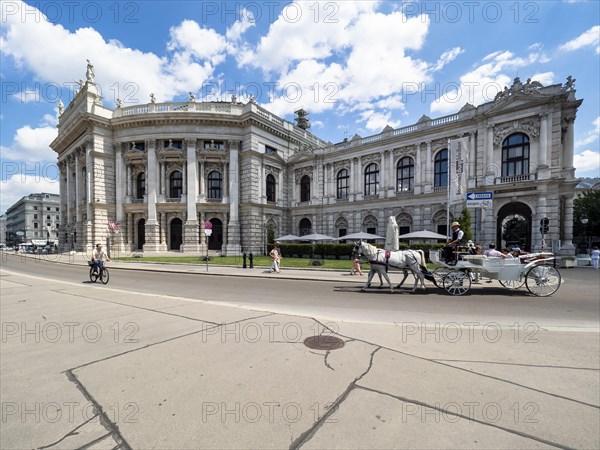 Fiaker in front of the Burgtheater