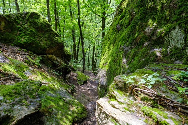 Descent through the Nussental