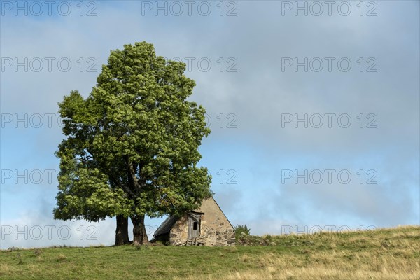 Old farm on Cezallier plateau in the Auvergne volcanoes regional natural park