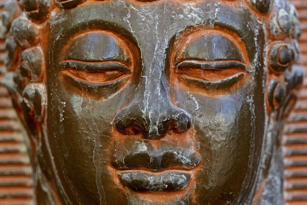 Buddha head statue