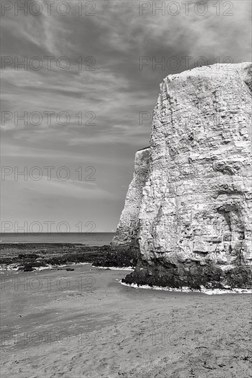 Chalk cliffs