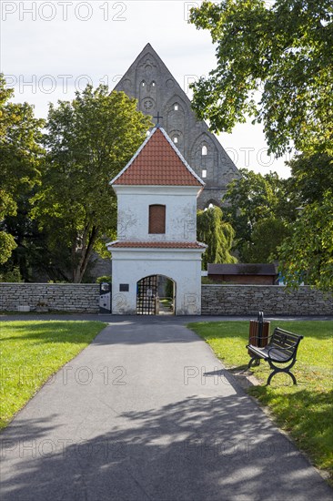 Entrance to Pirita Convent and Monastery Ruins