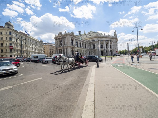 Fiaker in front of the Burgtheater