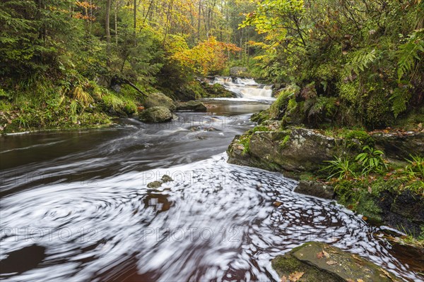 Mountain stream La Hoegne