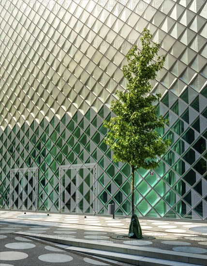 Small tree in front of the glass facade of the Futurium Museum on Kapelle Ufer