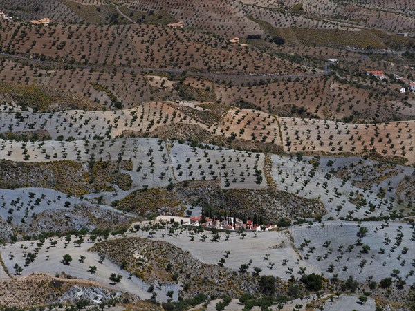 Cemetery