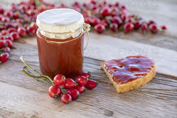 Homemade rosehip jam in a jar