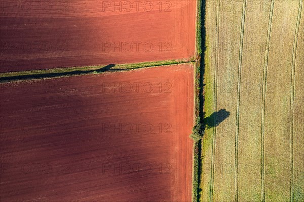 Fields and Meadows over Torbay