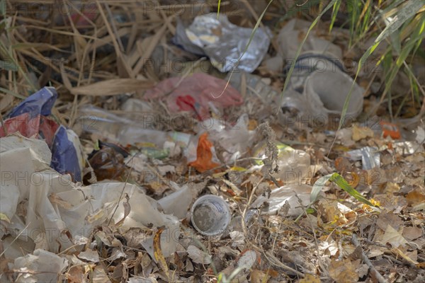 Discarded plastic bottles and other garbage in a meadow in the shore zone