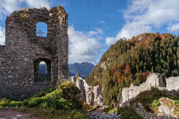 Ehrenberg Castle Ruin