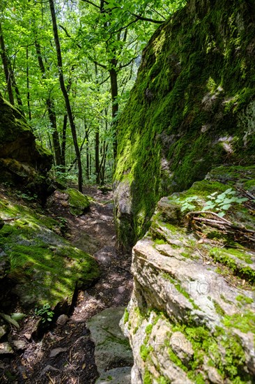 Descent through the Nussental