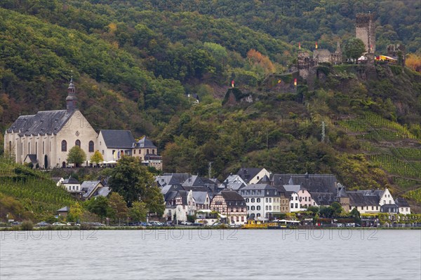 Townscape with Cochem Imperial Castle