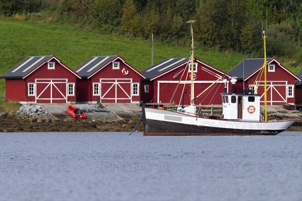 Landscape in the fjord