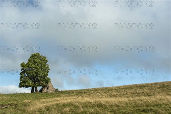 Old farm on Cezallier plateau in the Auvergne volcanoes regional natural park