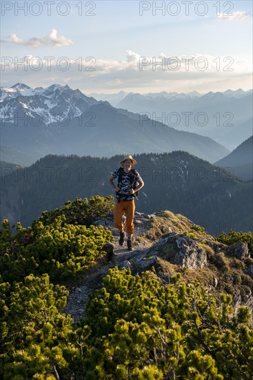 Hiker on hiking trail with mountain pines