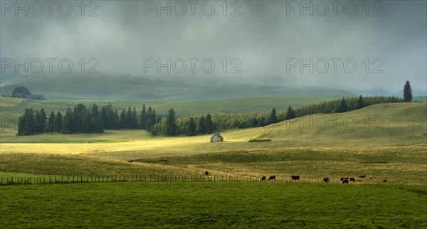 Cezallier plateau in the Auvergne volcanoes regional natural park