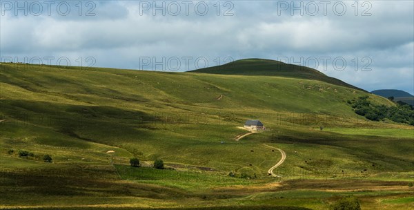 Cezallier plateau in the Auvergne volcanoes regional natural park