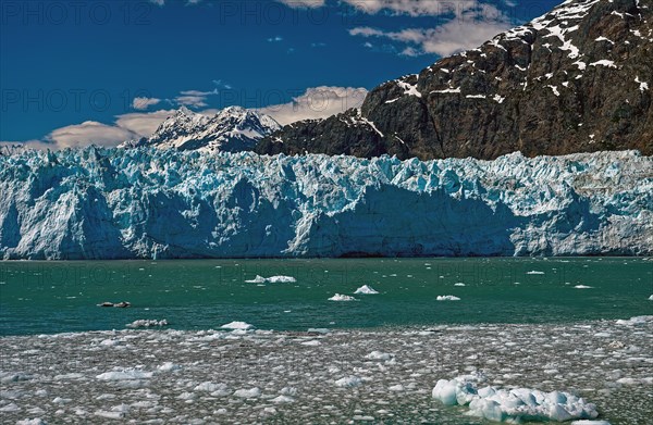 Margerie Glacier in Tarr Inlet