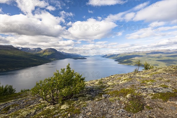 View from Falsnestinden into Lyngenfjord