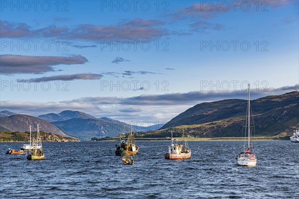 Fishing boats