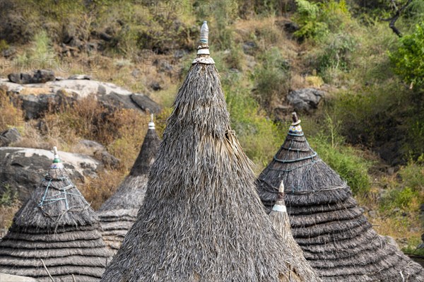 Traditionally built huts of the Laarim tribe