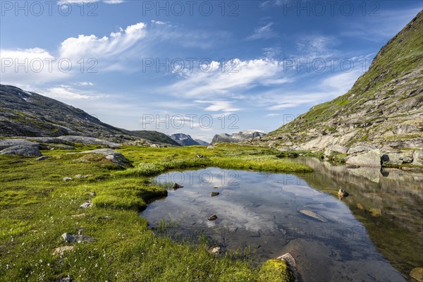 Plateau With Small Lakes And Bogs Photo12 imageBROKER Robert Haasmann