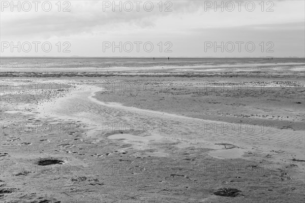 Low tide on the North Sea coast