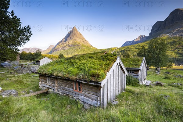 Traditional houses