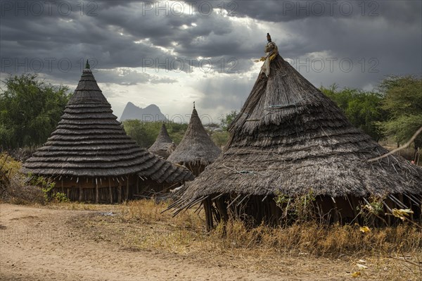 Traditionally built huts of the Laarim tribe