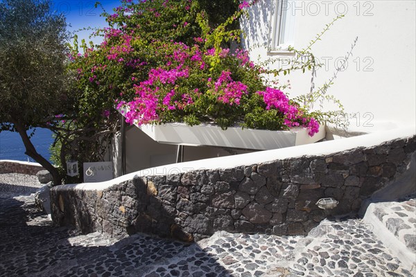 Staircase to hotel with an inner courtyard in Imerovigli