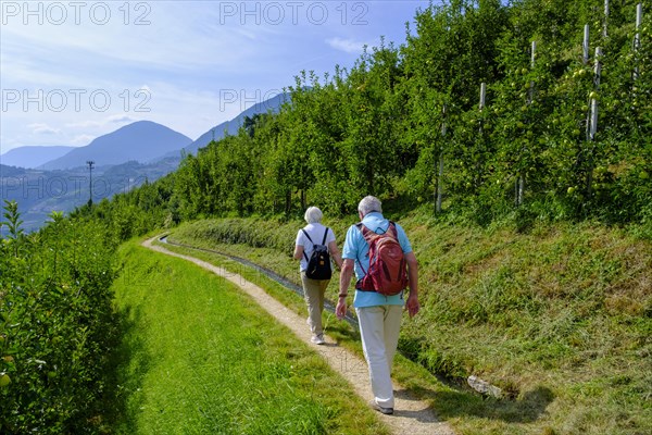 Hikers