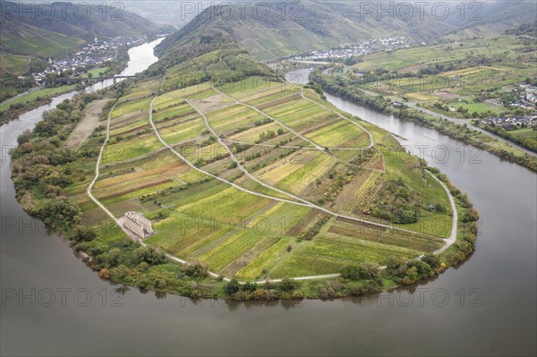 View of the Moselle loop