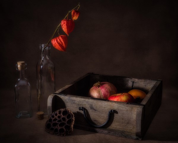 Still Life with Pomegranate