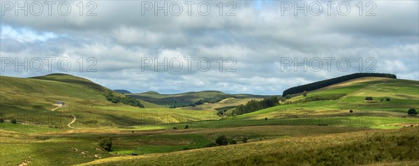 Cezallier plateau in the Auvergne volcanoes regional natural park