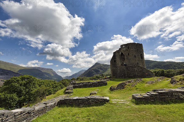 Ruins of a Medieval Castle