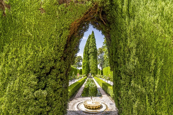 Fountain and trees in Generalife garden in Arabic palace complex called Alhambra in Granada