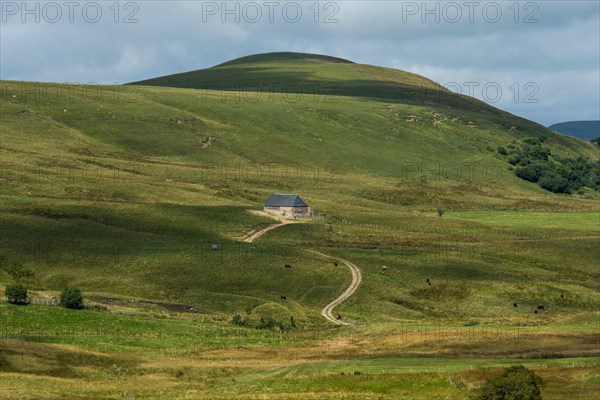 Cezallier plateau in the Auvergne volcanoes regional natural park