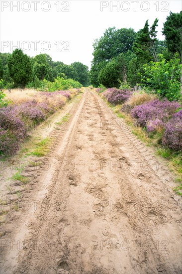 Hiking trail in the FFH and nature reserve Windelberg