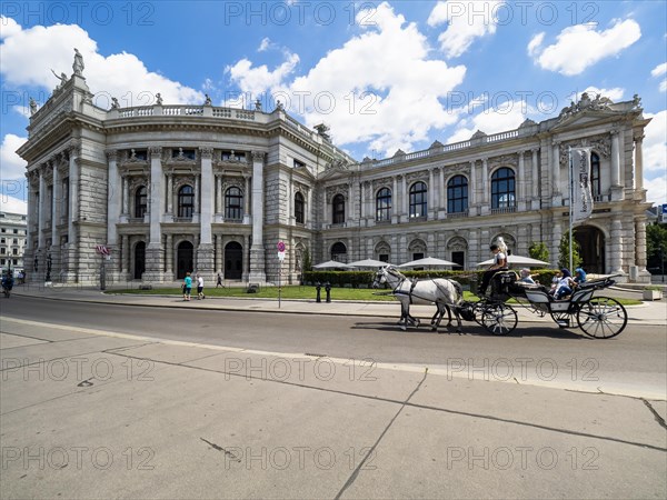 Fiaker in front of the Burgtheater