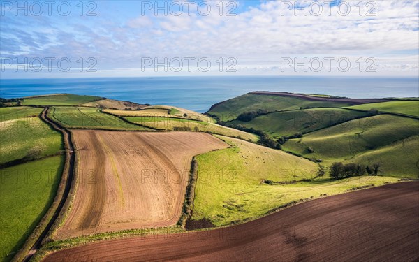 Autumn over Devon fields and farms from a drone